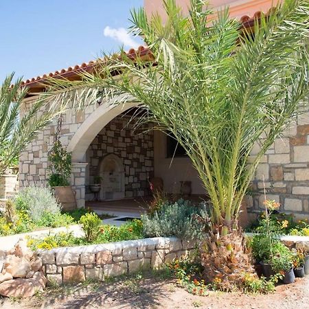 Petrinolis Retreat Apartment Sitia  Bagian luar foto
